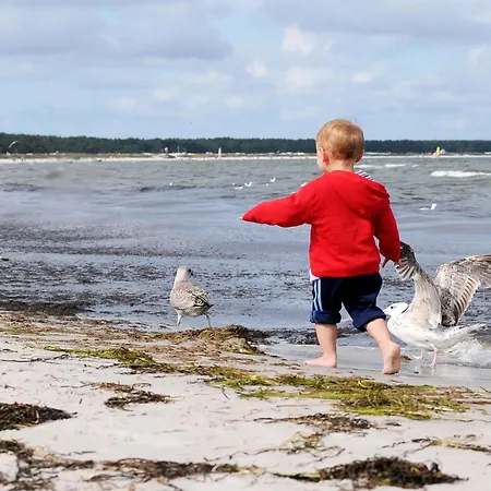 Deichgraf Am Strand Lejlighed Zingst