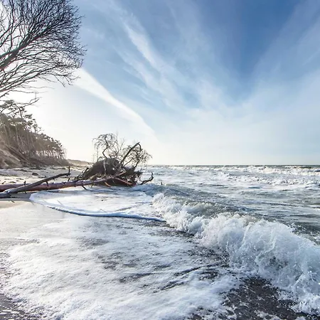 Deichgraf Am Strand